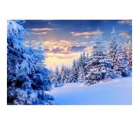 Ttincceer 3x2m Sfondo invernale innevato Foresta Paese delle meraviglie Scena innevata Natale Capodanno Festa Fotografia Sfondo Bambini Adulto Compleanno Matrimonio Decorazione Banner