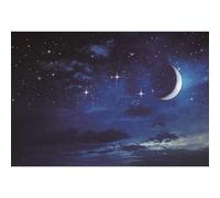 Ttincceer Notte Stellata Sfondo 220x150cm Luminoso Luna Stelle Scintillante Fotografia Profondo Blu Notte Cielo Stelle Neonato Bambino Doccia Banner