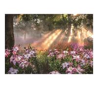 Ttincceer Primavera Giardino Sfondo 150x100cm Foresta Fiori Fioritura Fotografia Sfondo Tropicale Foresta pluviale Sole Giglio Tulipano Floreale Fotografia Sfondo Neonato Bambino Doccia Banner
