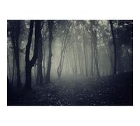 Ttincceer Sfondo Misty Foresta Oscura Halloween 3x2.5m Bosco Spaventoso Tumulo Halloween Partito Fotografia Sfondo Ritratto Magia Strega Mago Stregone Fantasma a Tema Partito Banner Decorazioni