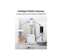 TTLOCK G6 Matter Gateway Remote Control Unlock to Wifi Router for Home Security Real- Monitoring