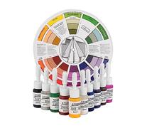 TTOOGO Set di colori di pratica tatuaggio per principianti - 10 colori vibranti con ruota e supporto di guida di miscelazione per praticare la colorazione della pelle