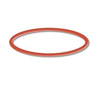 TTPezzo di ricambio: O-Ring 2 per la pompa per piscina SunSun CPP-10000