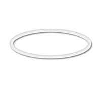 TTPezzo di ricambio: O-Ring 2 per la pompa per piscina SunSun CPP-10000F