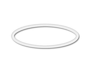 TTPezzo di ricambio: O-Ring 2 per la pompa per piscina SunSun CPP-10000F