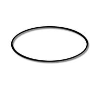 TTPezzo ricambio: O-ring 2 per depuratori stagni SunSun CUV-136 Stagno