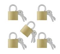 TTQiAnJ 5 Pezzi 32 mm Lucchetto,Mini Lucchetto con Chiave,Metallo Piccolo Lucchetto per Valigie,Armadietti,Bagagli,Borse da Viaggio,Zaino