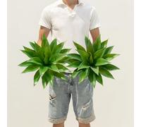 Ttranewsoo Piante di agave artificiale, grandi piante di agave finta, resistenti ai raggi UV, per interni ed esterni, per decorare piante artificiali per esterni, 2 pezzi, 45,7 cm