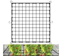 TTYSHIP® Rete Elastica per Piante Rampicanti, 150x150cm Rete di Supporto per Piante da Tenda con 6 Ganci per Verdure, Frutta, Fiori