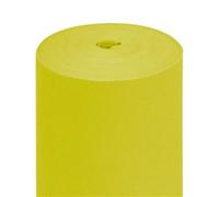 "Tu E Io" Pre. 120Cm (20 Ser.) 55 G/M2 0,40X24 M Kiwi Airlaid - 6 Unità
