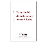 Tu es tombé du ciel comme une météorite