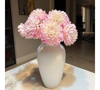 Tuberi di dalia, resistente - primaverili nel giardino da balcone 10pcs