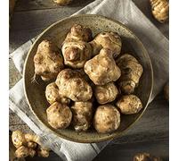 Tuberi di,Helianthus tuberosus,esotiche,meravigliosamente vivaci con resistenti in vaso,lungo periodo di per un per gli amanti del 13bulbi