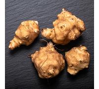 tuberi di Topinambur invernali giardino resistenti per giardini rocciosi vecchie varietà orticole raro verdi giardino sul balcone 10pcs