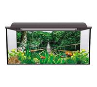 Tubertini Canna da Pesca dalla Barca Nauteck PRO per Bolentino in Carbonio Potente e Sensibile in Vetta