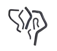 Tubi Del Radiatore Compatibile Con Civic Per Si-R Si VTi DEL SOL Per Type-R DC2 EK4 EK9 B16A B16B B18A 1992 1993-1999 2000 Kit Tubo Flessibile Radiatore In Silicone