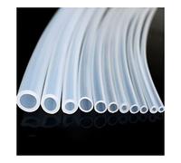 Tubi Flessibili In Gomma Siliconica Trasparente For Uso Alimentare Da 5 Metri, ID 2 3 4 5 6 Mm, Tubo Idraulico Flessibile Trasparente Atossico, 1 Pz.(ID 6mm x 10mm OD)