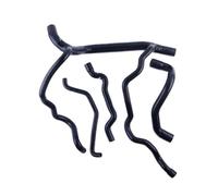 Tubi flessibili radiatore Compatibile Con Clio 172 182 RS Cup Trophy 2.0 F4R 2001 2002 2003 2004 2005 2006 Kit Tubo Tubo Del Liquido Di Raffreddamento Per Radiatore Per Auto(B)