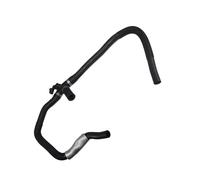 Tubi flessibili radiatore Compatibile Con Jaguar Per Xf Xj Per S-Type Lr011942 1351820 Tubo Di Raffreddamento Per Auto Tubi Radiatore Motore Jde3339 C2S28475 Jde10841 Jde3844