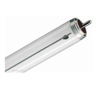 Tubo al neon Philips TL40/03RS aqua coral TL/03