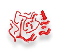 Tubo Aspirazione Aria Per Land Per Rover Per Discovery 2 TD5 1999-2004 Silicone Intercooler Turbo Per Caricabatterie Radiatore Riscaldatore Radiatore Olio Tubo Refrigerante Presa D'aria(Rosso)