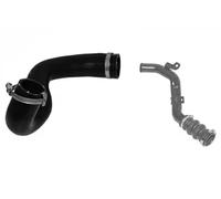 Sasic Tubo condotto aria 3356035 per Ford Transit Connect