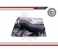 Tubo condotto aria 43SKV174 ESEN SKV per BMW 3 X5
