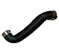 BUGIAD 81848 Flessibile aria alimentazione per NISSAN Qashqai II (J11, J11)