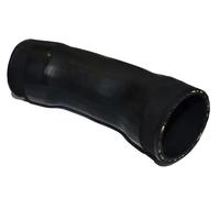 BUGIAD Tubo flessibile aria 81988 per Audi A3, VW Caddy II