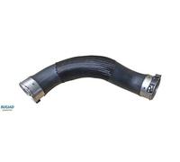 Tubo condotto aria 82235 BUGIAD per MINI BMW