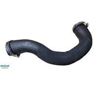 2x Tubi condotti aria BUGIAD S+D per FORD TOURNEO CUSTOM, TRANSIT