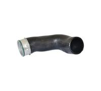 Bugiad 82716 Tubo di Aspirazione per Mercedes-Benz W211 VW Multivan V