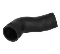 Tubo condotto aria DCW060TT THERMOTEC per VW PASSAT B5 GOLF IV BORA I