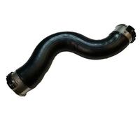 Originale BUGIAD Tubo di Aspirazione 81743 per BMW