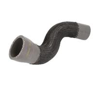 Tubo condotto aria Dx DCR181TTS THERMOTEC per RENAULT MEGANE III Grandtour