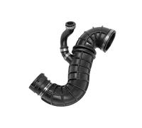 Sasic Tubo flessibile condotto aria entrata 3336259 per Ford Transit Connect