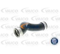 Tubo condotto aria Gomma con anima di tessuto V10-2696 VAICO per VW MULTIVAN T5