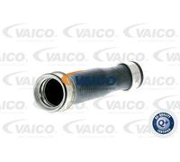 Tubo condotto aria Gomma con anima di tessuto V10-2896 VAICO per VW MULTIVAN T5