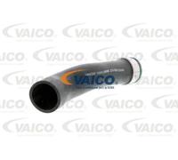 Tubo condotto aria Gomma con anima di tessuto V10-2898 VAICO per VW MULTIVAN T5