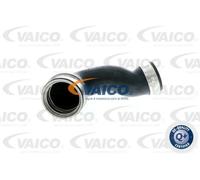 VAICO V10-2901 Flessibile aria alimentazione