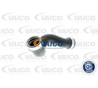 Tubo condotto aria Gomma con anima di tessuto V10-2902 VAICO per VW MULTIVAN T5