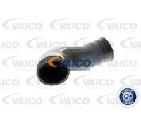 VAICO V10-2924 Flessibile aria alimentazione
