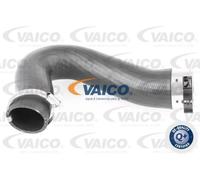 Tubo condotto aria Gomma con anima di tessuto V10-3782 VAICO per VW
