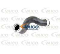 Tubo condotto aria Gomma con anima di tessuto V10-3815 VAICO per VW