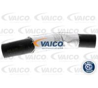 Tubo flessibile dell'aria di carica VAICO V25-0950