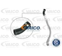 Tubo condotto aria Gomma con anima di tessuto V25-1037 VAICO per FORD