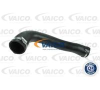 VAICO V40-1497 Flessibile aria alimentazione