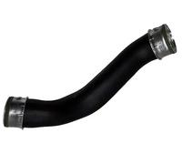 BUGIAD Flessibile aria alimentazione 81813 per Audi A3 8L1, VW Golf IV (1J1/1J5), SEAT