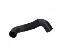 Tubo condotto aria Intercooler 20619 ORIGINAL IMPERIUM per FIAT DUCATO Furgone