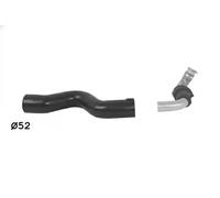 Sasic Tubo condotto aria Intercooler 3334039 per Renault, Opel